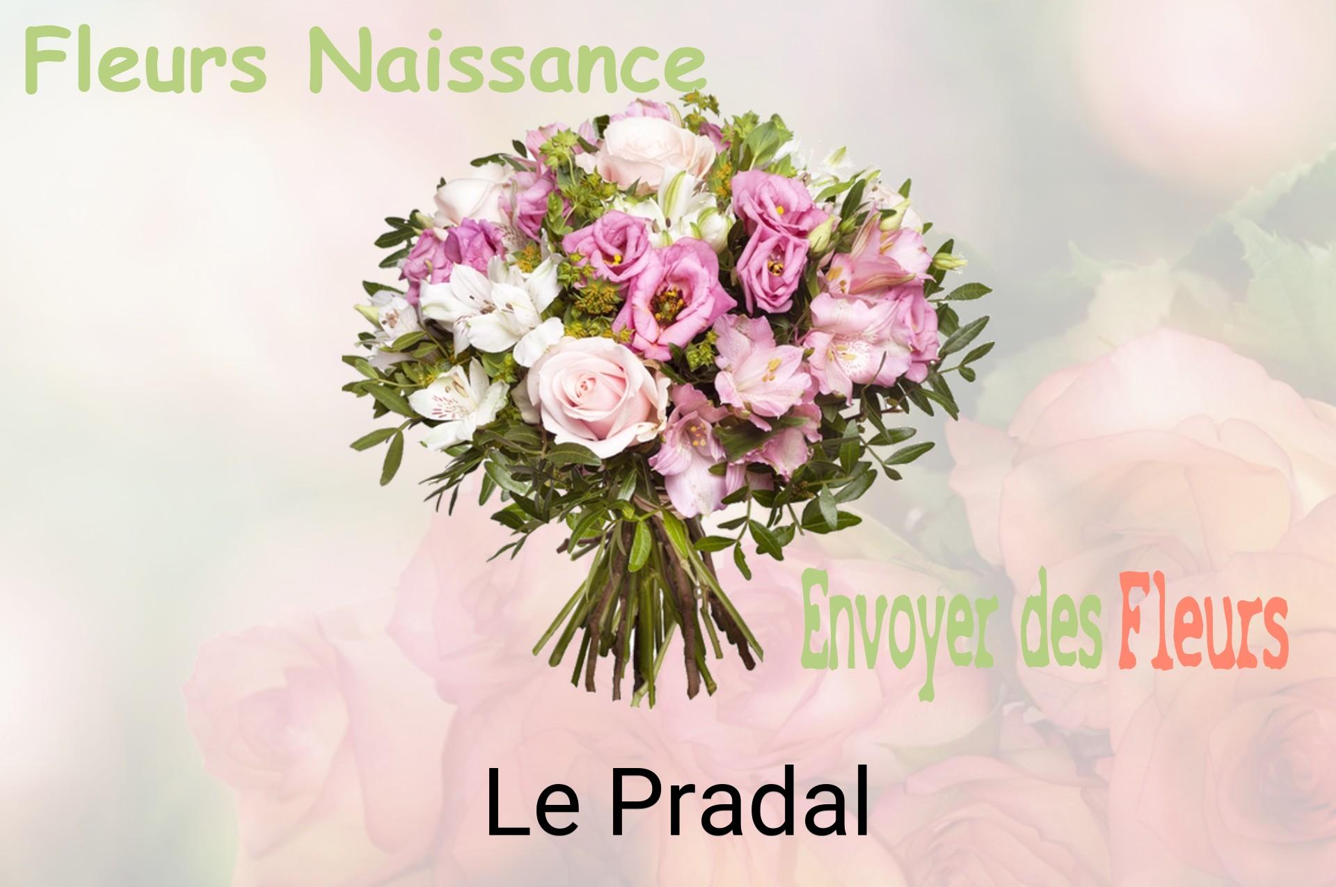 Bouquet de fleurs de naissance livré à Le Pradal